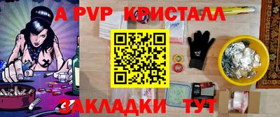 гашик Кимры