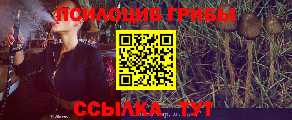 Псилоцибиновые грибы ЛСД  Вход с VPN  Псилоцибиновые грибы Psilocybine cubensis  Ефремов 